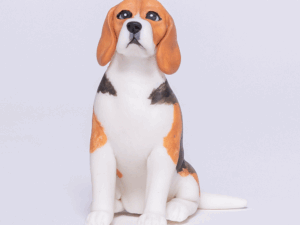 Curso Beagle