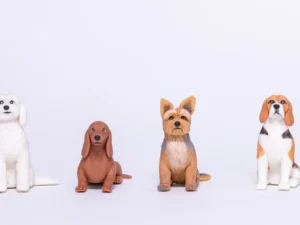 Suscripción Mensual