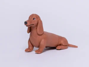 Curso Dachshund